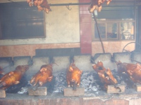 lechon